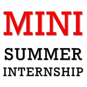mini summer internship