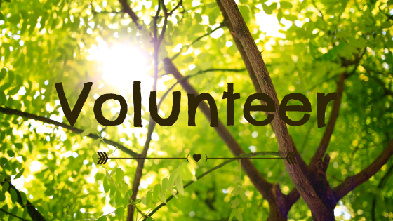 VOLUNTEER