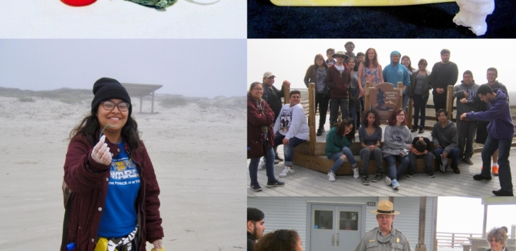 More than just a Pretty Picture: Art Students Combat Plastic Pollution